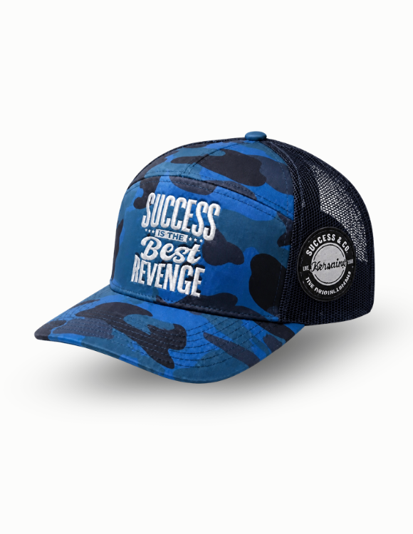 Came Success is the Best Revenge