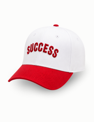 Fire Red Success